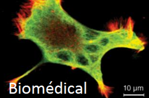 Biomédical